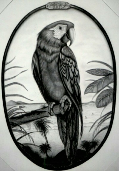 016. Parrot