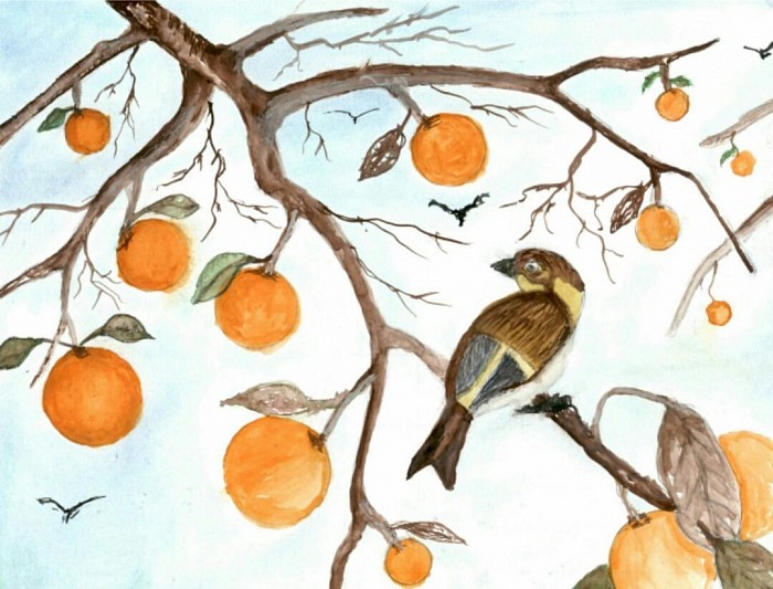 Bird in Orange Tree