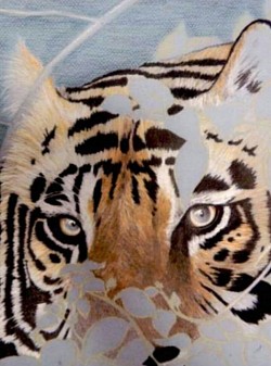 002. Unfinished Bengal Tiger (colored pencil on mi-tientes paper)